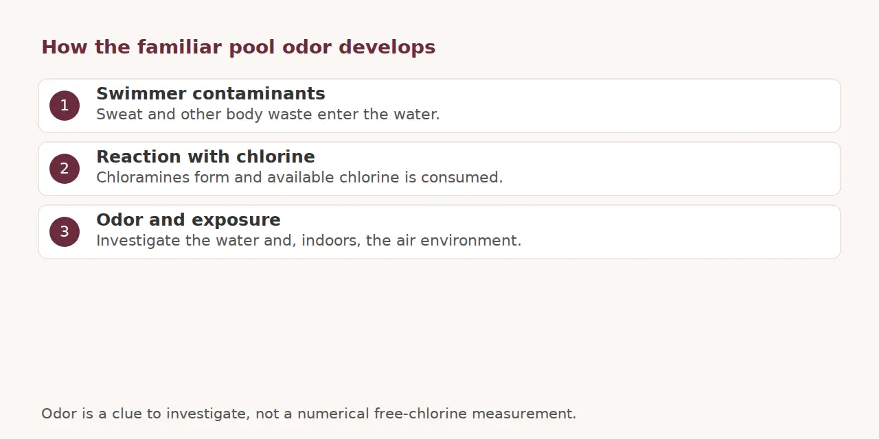 Diagram traces swimmer contaminants reacting with chlorine and the resulting need to investigate odor.